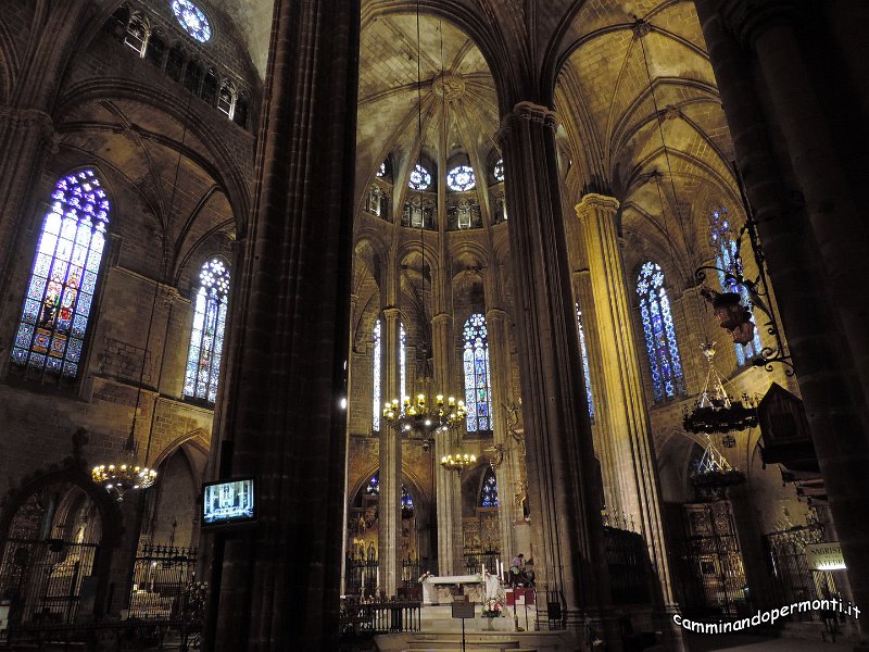 238 Cattedrale Gotica di Barcellona.JPG -           